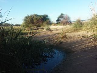 Arroyo Solis 
