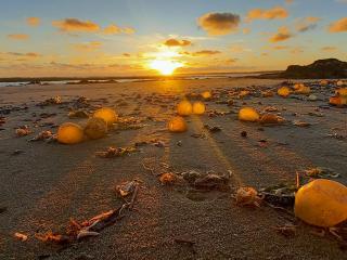 Playa  Solís 8