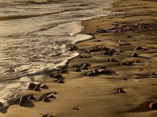 Playa Piedras 8