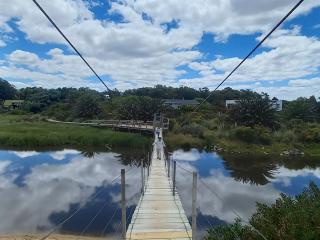 Puente colgante 8
