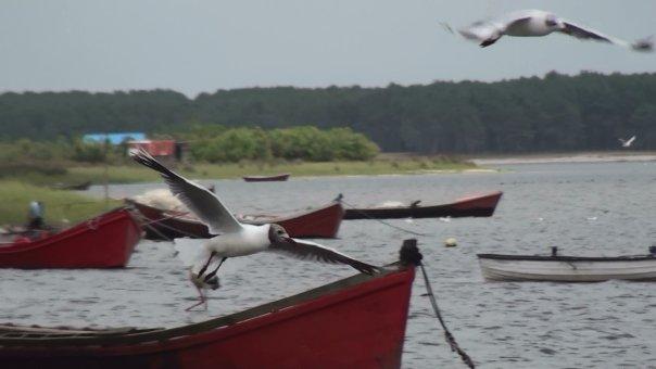 Puertito de Pescadores